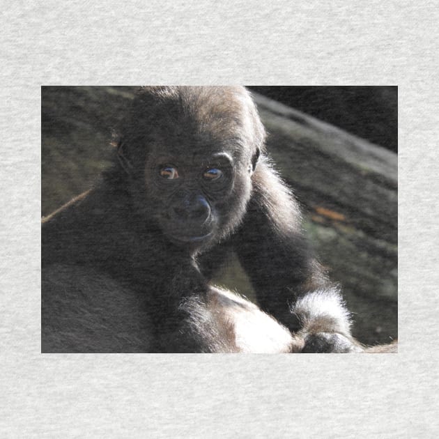 Baby Gorilla by kirstybush